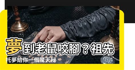 被老鼠咬解夢|梦到被老鼠咬了预示着什么 原版周公解梦原版免费